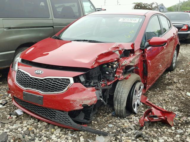 KNAFK4A63G5476493 - 2016 KIA FORTE LX RED photo 2