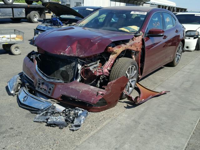 19UUB2F55GA010975 - 2016 ACURA TLX TECH MAROON photo 2
