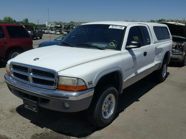 1B7GG22Y1WS529219 - 1998 DODGE DAKOTA WHITE photo 2