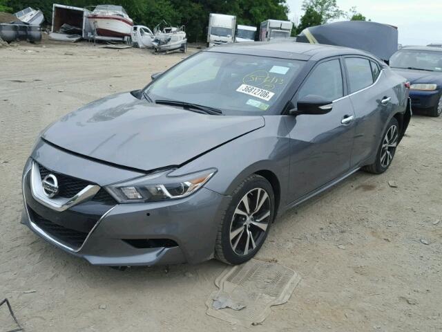 1N4AA6AP8HC452570 - 2017 NISSAN MAXIMA 3.5 GRAY photo 2