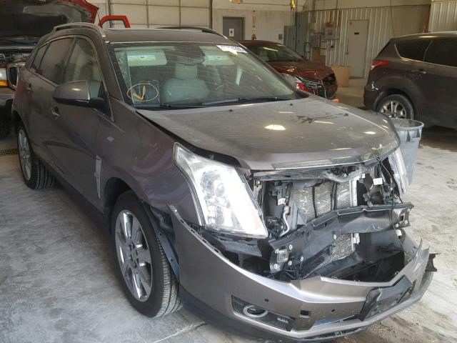 3GYFNBEY3BS571879 - 2011 CADILLAC SRX PERFOR TAN photo 1