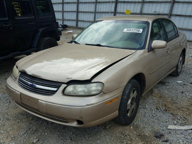 1G1NE52J916150383 - 2001 CHEVROLET MALIBU LS GOLD photo 2