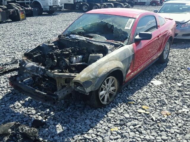 1ZVHT80N495108431 - 2009 FORD MUSTANG RED photo 2