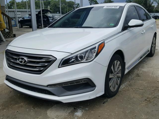 5NPE34AFXFH024213 - 2015 HYUNDAI SONATA SPO WHITE photo 2