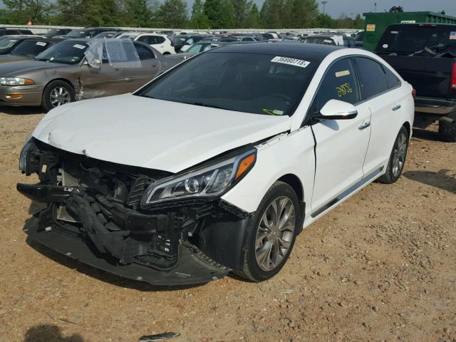 5NPE34AB3FH116566 - 2015 HYUNDAI SONATA SPO WHITE photo 2