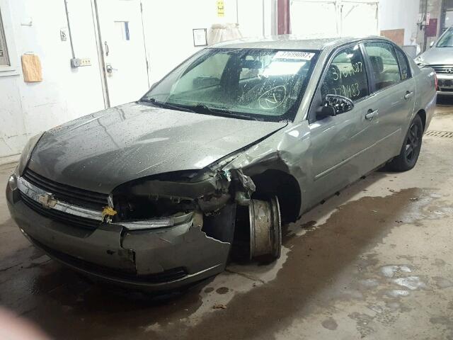 1G1ZT54865F118224 - 2005 CHEVROLET MALIBU LS მწვანე ფოტო 2