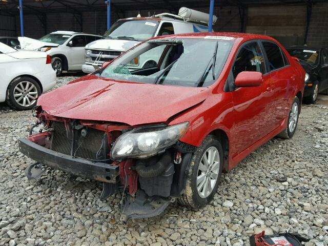 2T1BU4EE4AC504423 - 2010 TOYOTA COROLLA BA RED photo 2