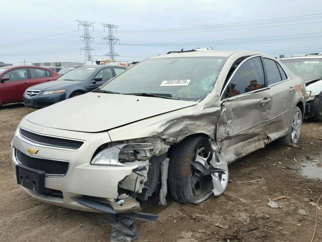 1G1ZB5E03CF142991 - 2012 CHEVROLET MALIBU LS ოქროსფერი ფოტო 2