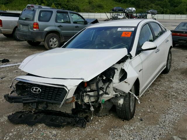 KMHE24L11GA016459 - 2016 HYUNDAI SONATA HYB WHITE photo 2