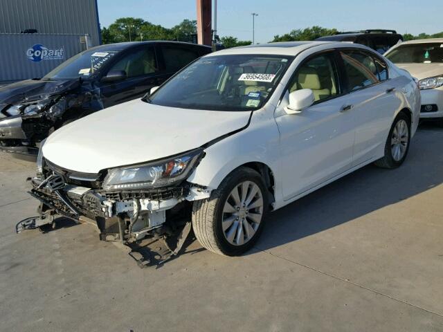 1HGCR2F87EA064311 - 2014 HONDA ACCORD EXL WHITE photo 2