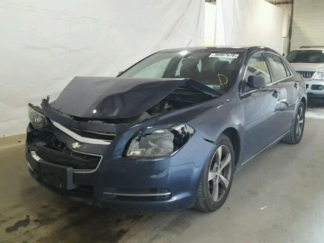 1G1ZC5E1XBF361273 - 2011 CHEVROLET MALIBU 1LT 蓝色 照片 2
