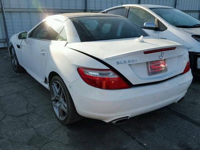 WDDPK4HA7EF077505 - 2014 MERCEDES-BENZ SLK 250 WHITE photo 3