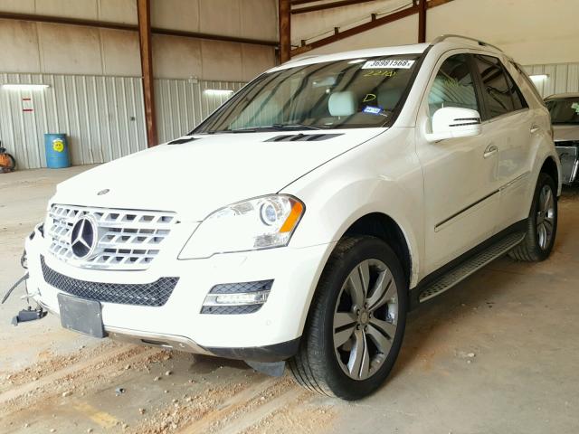 4JGBB5GB8BA642210 - 2011 MERCEDES-BENZ ML 350 WHITE photo 2