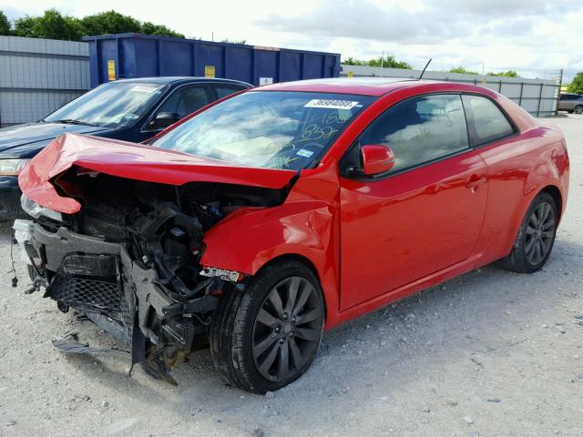 KNAFW6A34C5488832 - 2012 KIA FORTE SX RED photo 2