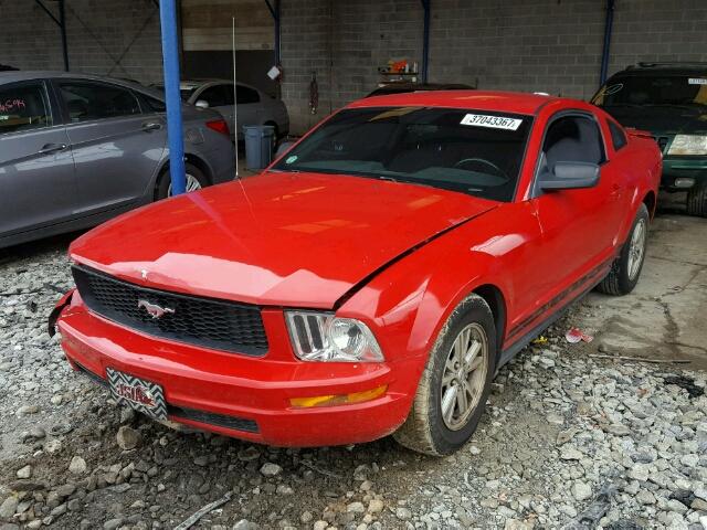 1ZVFT80N375233313 - 2007 FORD MUSTANG RED photo 2