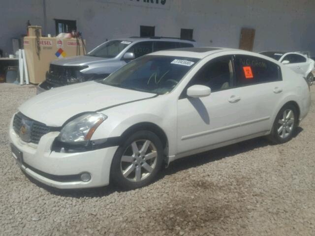 1N4BA41E65C809294 - 2005 NISSAN MAXIMA SE WHITE photo 2