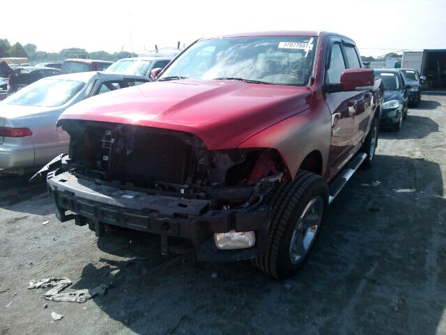 1D3HV13T39S709014 - 2009 DODGE RAM 1500 RED photo 2