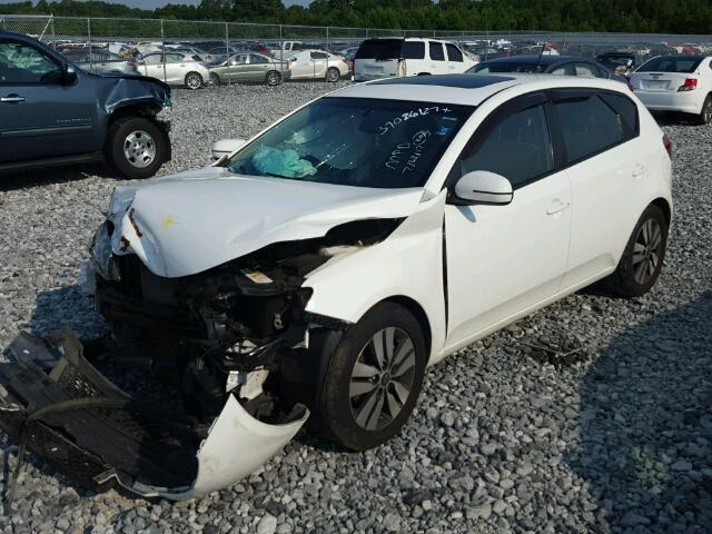 KNAFU5A21D5693968 - 2013 KIA FORTE EX WHITE photo 2