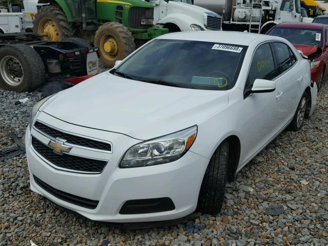 1G11D5SR3DF331961 - 2013 CHEVROLET MALIBU 1LT WHITE photo 2