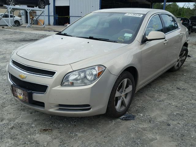 1G1ZC5E10BF146629 - 2011 CHEVROLET MALIBU 1LT ოქროსფერი ფოტო 2