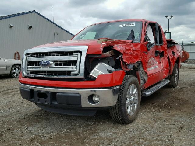 1FTEX1CM8DFC63491 - 2013 FORD F150 SUPER RED photo 2