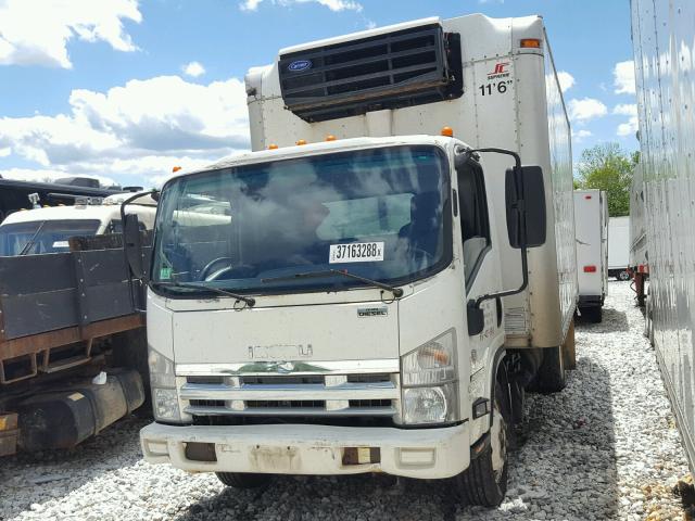 JALE5W168D7300412 - 2013 ISUZU NQR WHITE photo 2