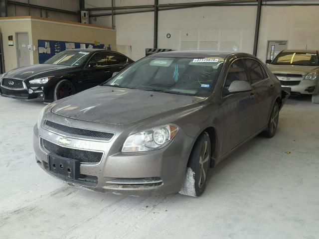 1G1ZC5EU0BF390355 - 2011 CHEVROLET MALIBU 1LT 金色 照片 2