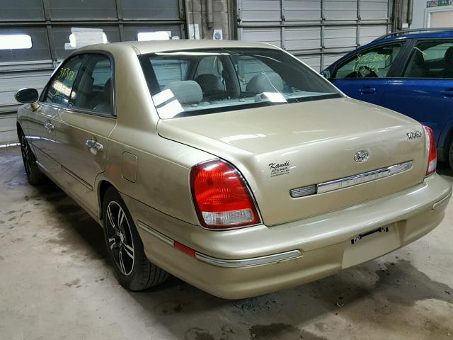 KMHFU45E32A189228 - 2002 HYUNDAI XG 350 TAN photo 3