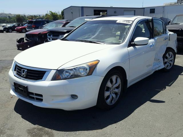 1HGCP36838A057095 - 2008 HONDA ACCORD EXL WHITE photo 2