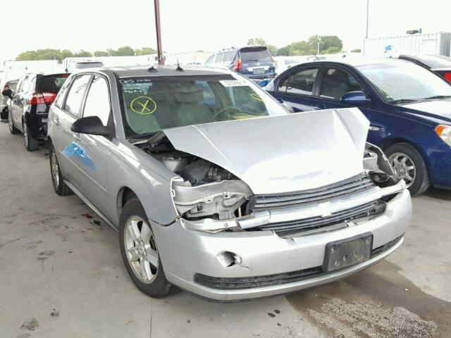 1G1ZT64844F198546 - 2004 CHEVROLET MALIBU MAX ვერცხლისფერი ფოტო 1