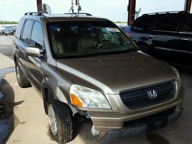 5FNYF18515B046551 - 2005 HONDA PILOT BEIGE photo 1