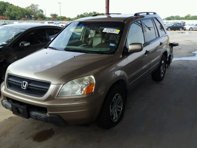 5FNYF18515B046551 - 2005 HONDA PILOT BEIGE photo 2