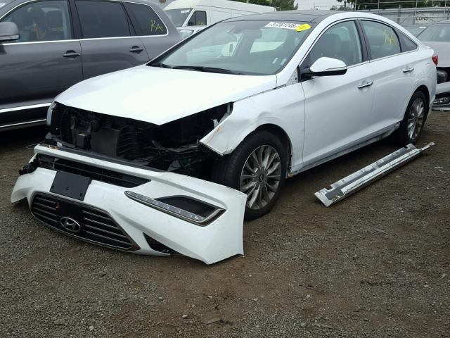 5NPE34AFXFH171325 - 2015 HYUNDAI SONATA SPO WHITE photo 2