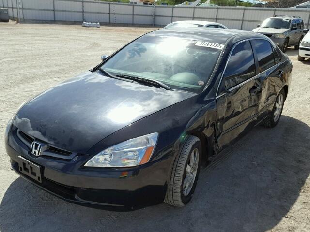 1HGCM66505A054375 - 2005 HONDA ACCORD EX BLACK photo 2