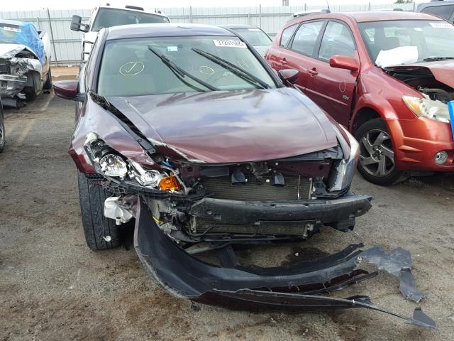 JHMCP264X8C060407 - 2008 HONDA ACCORD LXP BURGUNDY photo 9