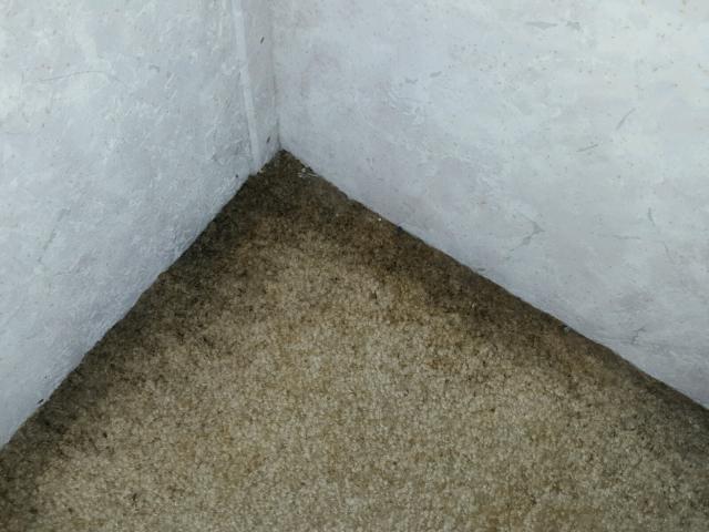 4YDF365294D509854 - 2004 KEYSTONE MONTANA WHITE photo 14