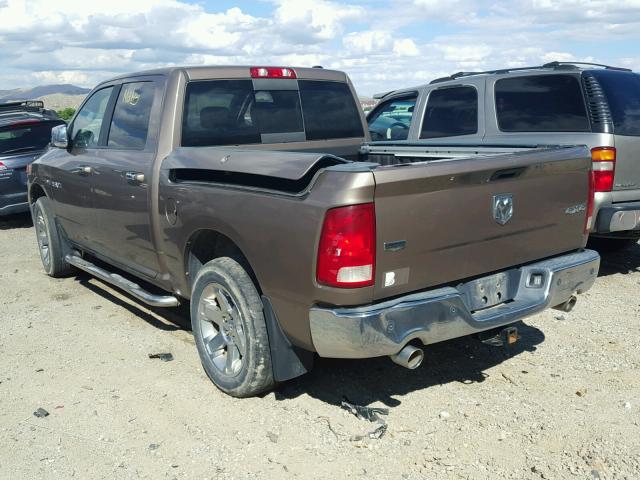 1D3HV13T59J520161 - 2009 DODGE RAM 1500 BROWN photo 3