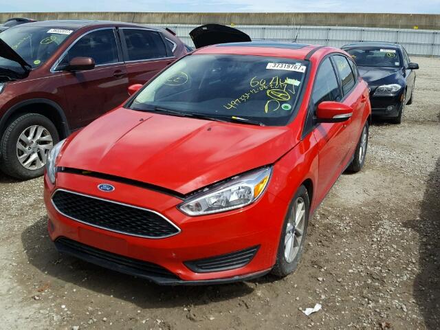 1FADP3K2XGL364440 - 2016 FORD FOCUS RED photo 2