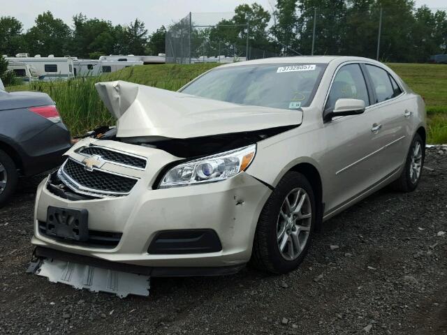 1G11C5SA8DF215670 - 2013 CHEVROLET MALIBU 1LT 米色 照片 2