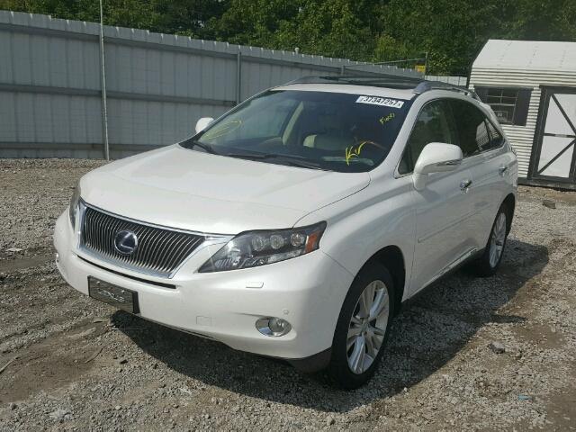 JTJBC1BA4A2005863 - 2010 LEXUS RX WHITE photo 2