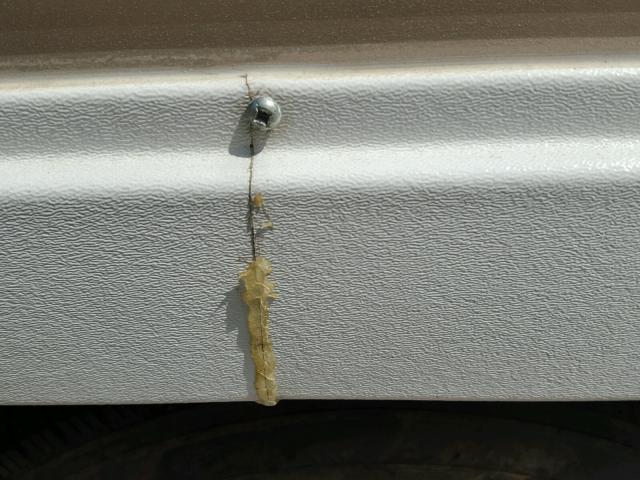 5C1TS33209P012676 - 2009 ADVE TIMBERLODG WHITE photo 19