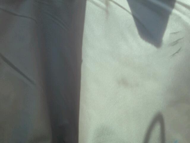 3C6TRVBG1GE102183 - 2016 RAM PROMASTER 白色 照片 5