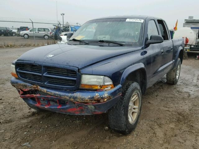 1D7HG38N43S234995 - 2003 DODGE DAKOTA QUA BLUE photo 2