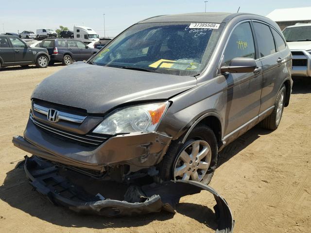 5J6RE487X9L026662 - 2009 HONDA CR-V EXL GOLD photo 2