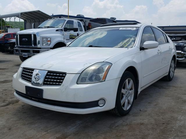 1N4BA41E74C862875 - 2004 NISSAN MAXIMA SE WHITE photo 2