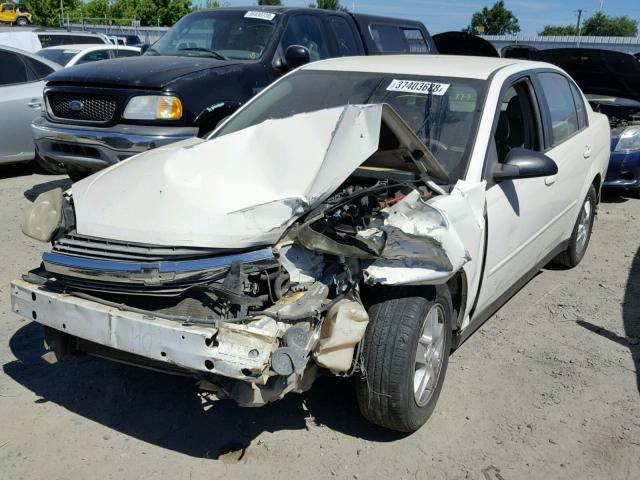 1G1ZT52814F145915 - 2004 CHEVROLET MALIBU LS WHITE photo 2