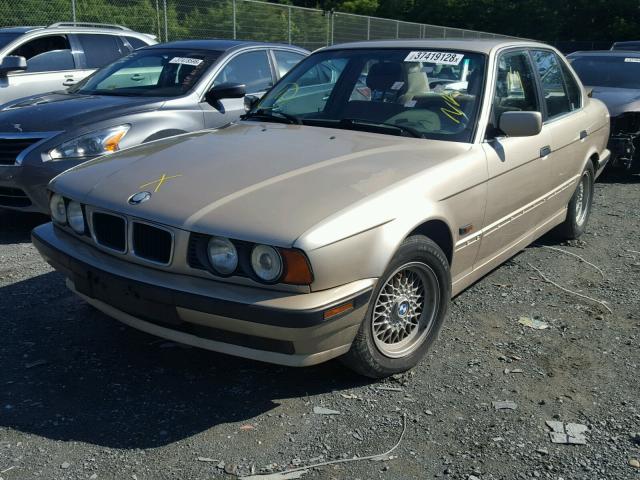 WBAHE2322SGE92750 - 1995 BMW 530 I AUTO GOLD photo 2