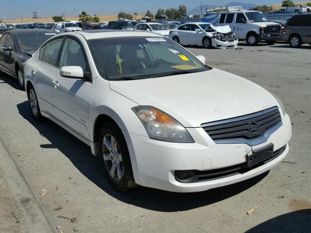 1N4CL21E48C249735 - 2008 NISSAN ALTIMA HYB WHITE photo 1