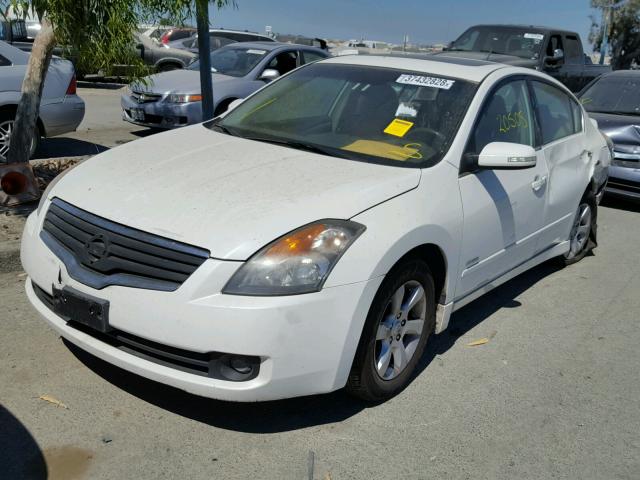 1N4CL21E48C249735 - 2008 NISSAN ALTIMA HYB WHITE photo 2