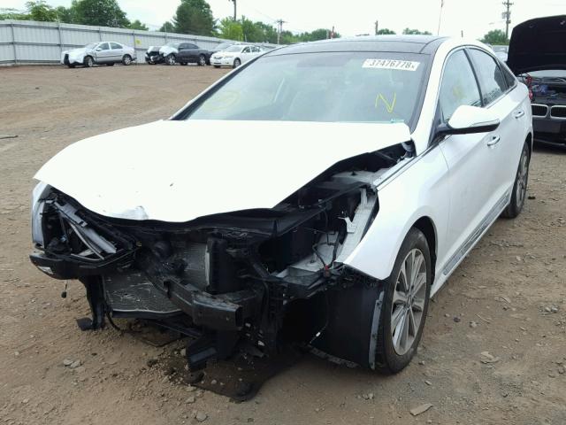 5NPE34AF0GH291877 - 2016 HYUNDAI SONATA SPO WHITE photo 2